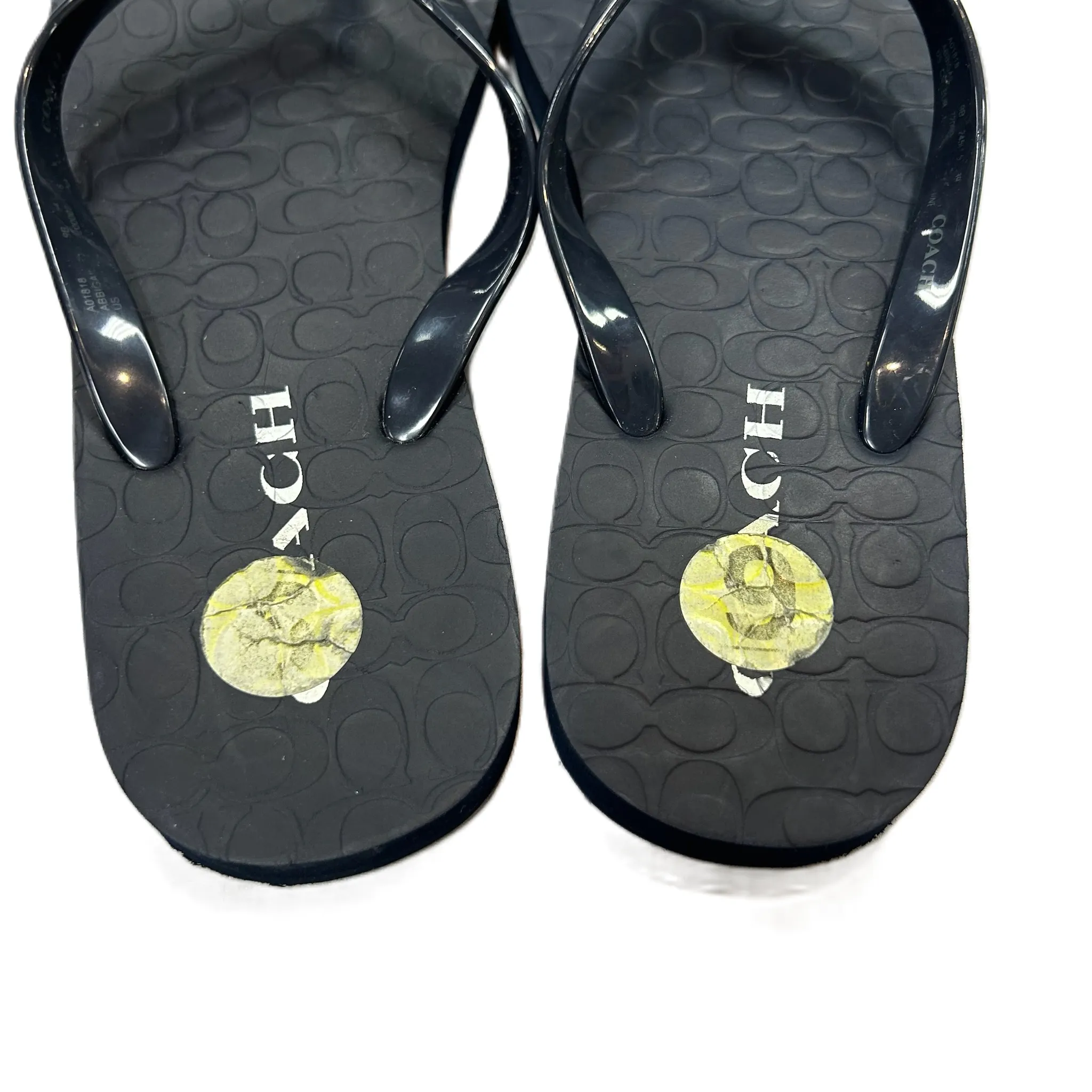 Black Sandals Flip Flops By Coach, Size: 6