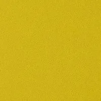 Medium Leather Retail Tote - Citron
