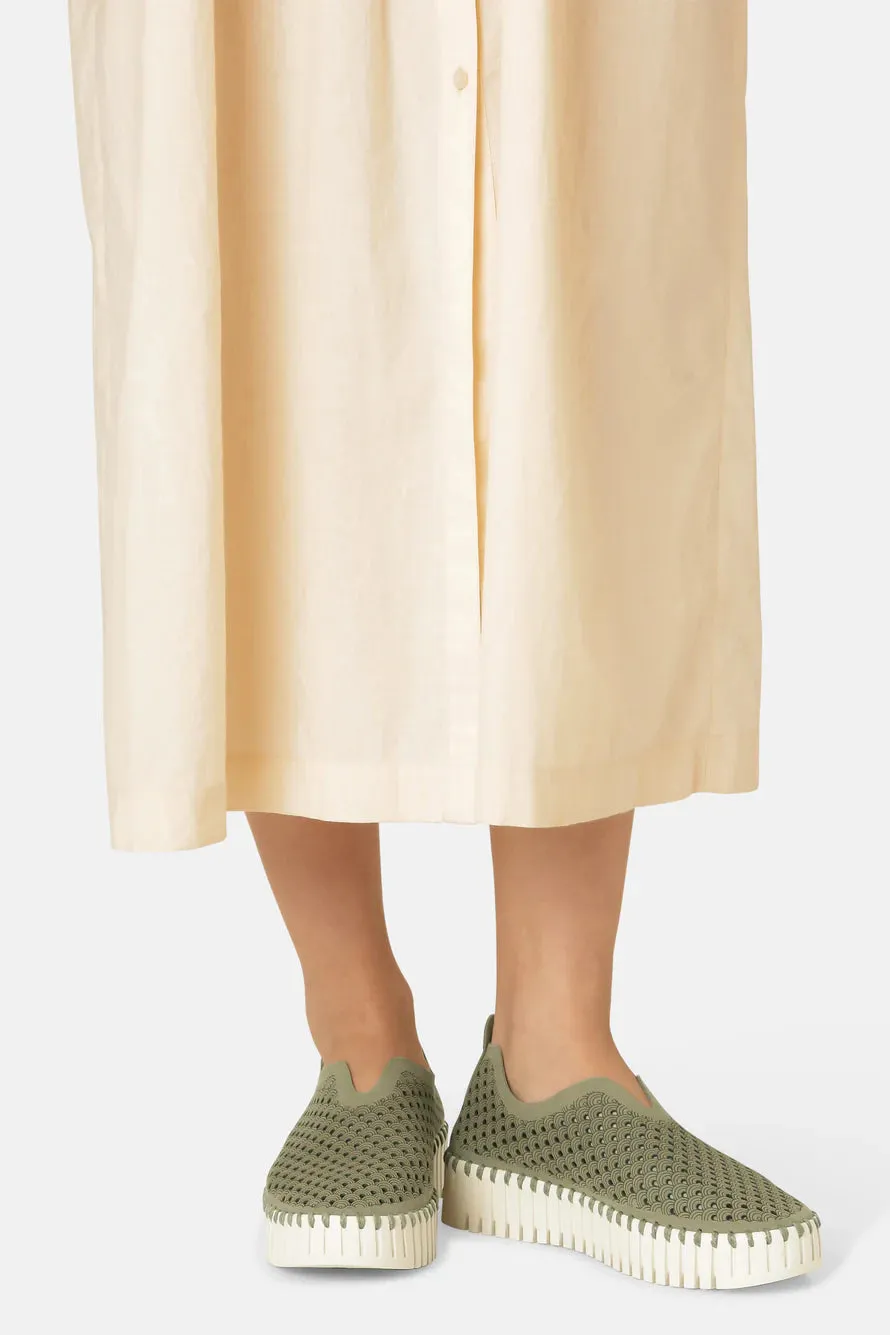 platform tulip flats- army