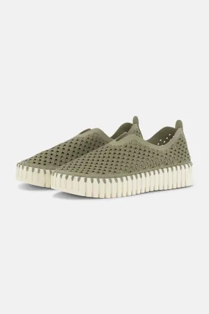 platform tulip flats- army